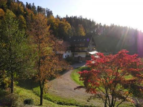 Md Waldhotel Palmspring Бад-Петерсталь-Ґрісбах Екстер'єр фото